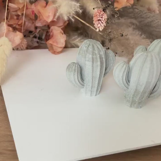 Kaktus aus Beton, Ringhalter aus Beton, kleiner Kaktus, grauer Kaktus