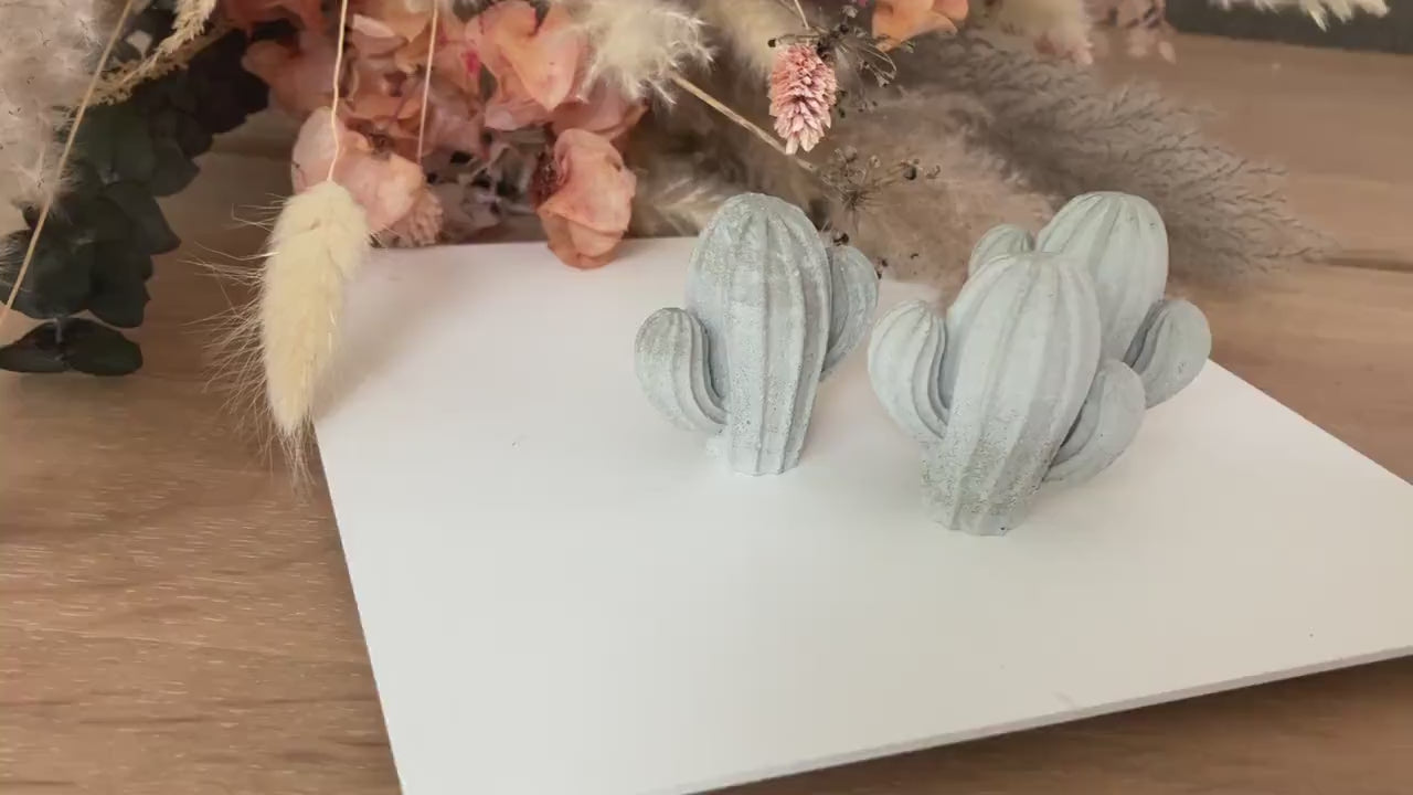 Kaktus aus Beton, Ringhalter aus Beton, kleiner Kaktus, grauer Kaktus